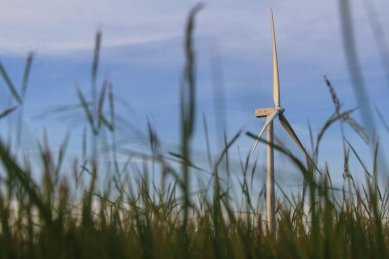 intelligent tech solutions growth